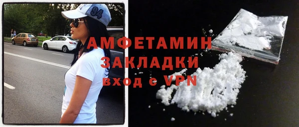 гидра Богородицк