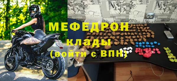 гидра Богородицк