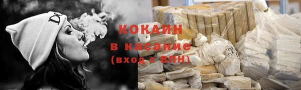 сатива Богданович