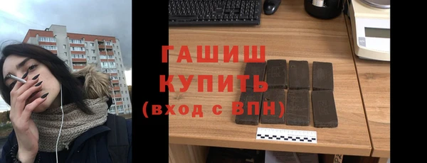 гидра Богородицк