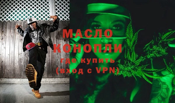 гидра Богородицк