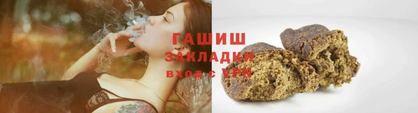 гидра Богородицк