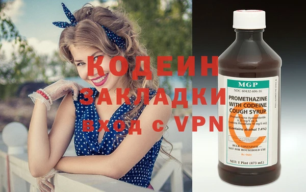 гидра Богородицк
