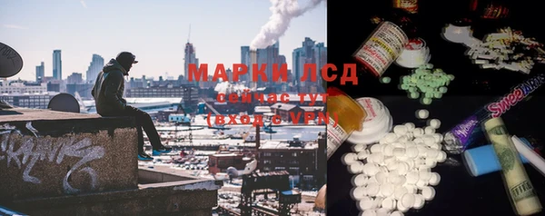 гидра Богородицк