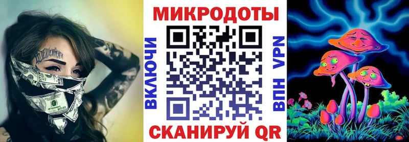 Галлюциногенные грибы Psilocybine cubensis  Волосово 